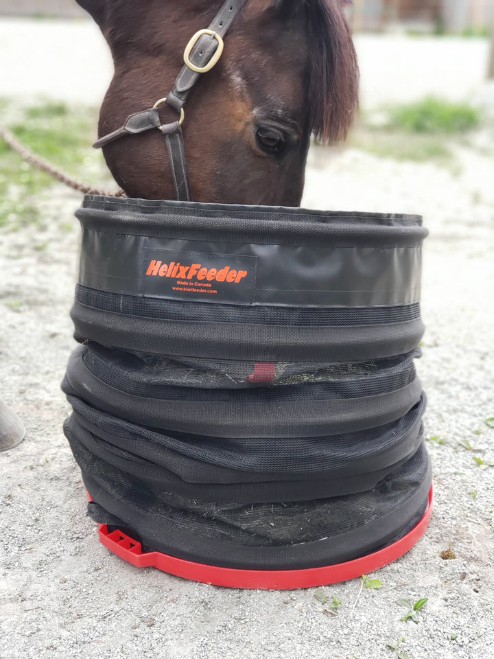 Slow Feeder for Horses Collapsible Adjustable Ponies Hay Feed
